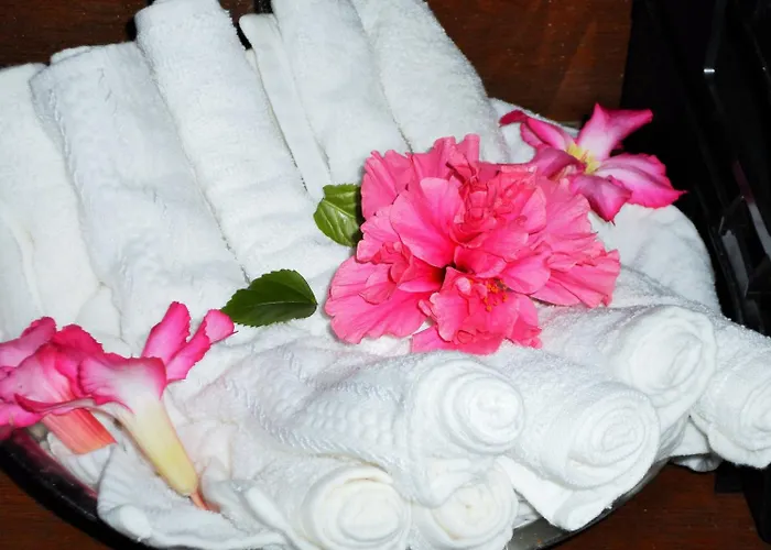Zihua Caracol Hotel 3*